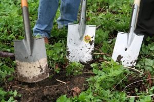Three shovels in dirt in garden 