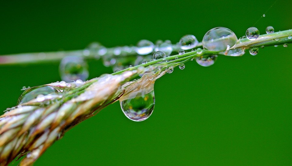 Capture the Spring Rains